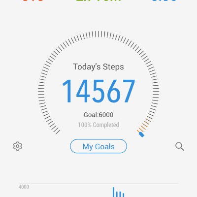 Meleika post 1