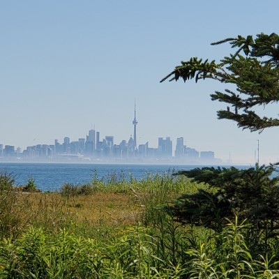 Toronto Canada Co Pilot Jeanne 🇨🇦 post image