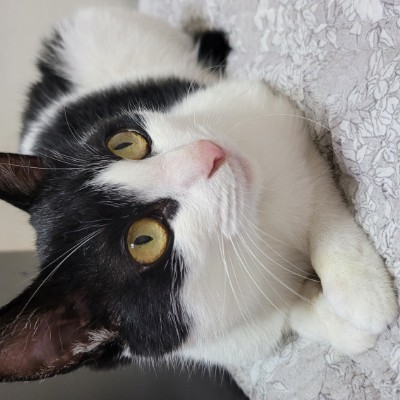 🍀해랑🍀 post 3