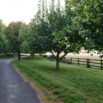 David Dunshea post 3