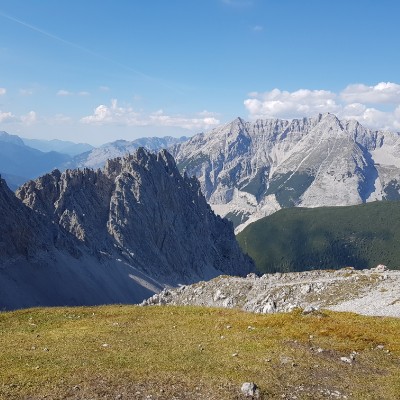 🌸 𝑇𝑟𝑒𝑒𝑠＆𝐹𝑙𝑜𝑤𝑒𝑟𝑠🌲 m4pelea post image