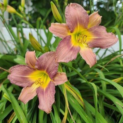 Matt S🏃‍♂️🏃‍♂️🏃‍♂️⏪🚶‍♂️ post 1