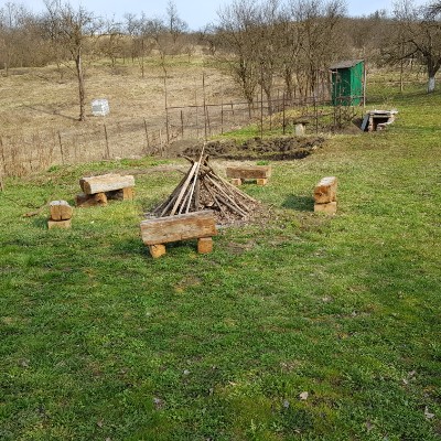 🌸 𝑇𝑟𝑒𝑒𝑠＆𝐹𝑙𝑜𝑤𝑒𝑟𝑠🌲 m4pelea post image