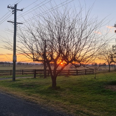 David Dunshea post 2