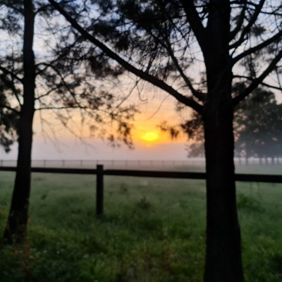 David Dunshea post 2