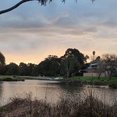 nicholas.tan7 post 1