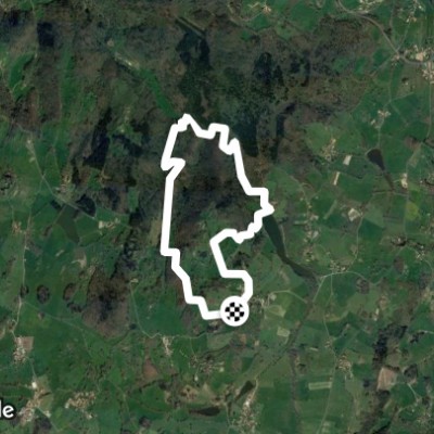 sur le chemin des druides