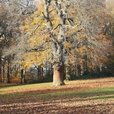 soniaharrison post 1