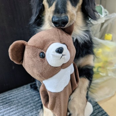 ことりや鳥天 post 1