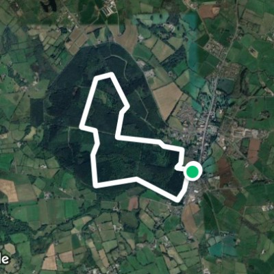 Garvagh Forest (Orange trail)