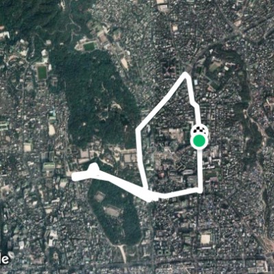 마로니에_창덕궁_혜화로터리