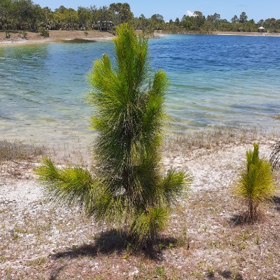 Yaneth Quiroz post 3