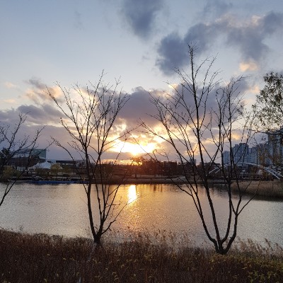 윤희 post 1