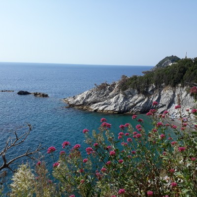 Sonia🦉🐶 post 2