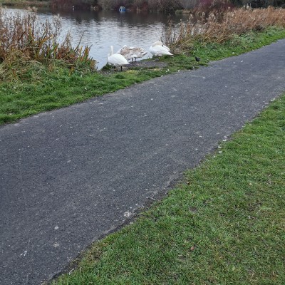 breda.c.murphy post 1