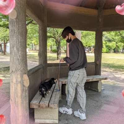 ことりや鳥天 post 2