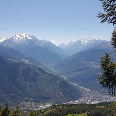 Capricornemuse Martin 🇨🇭 post image