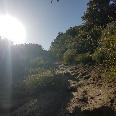 R.S.Hertz OCB post 3