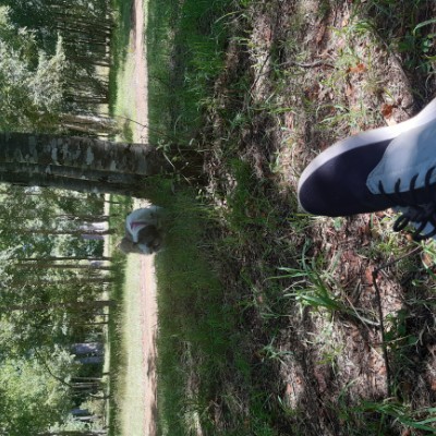 Caminantes Sureños Angela post image